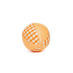 Lucky Lorenzo Mini Beach Ball